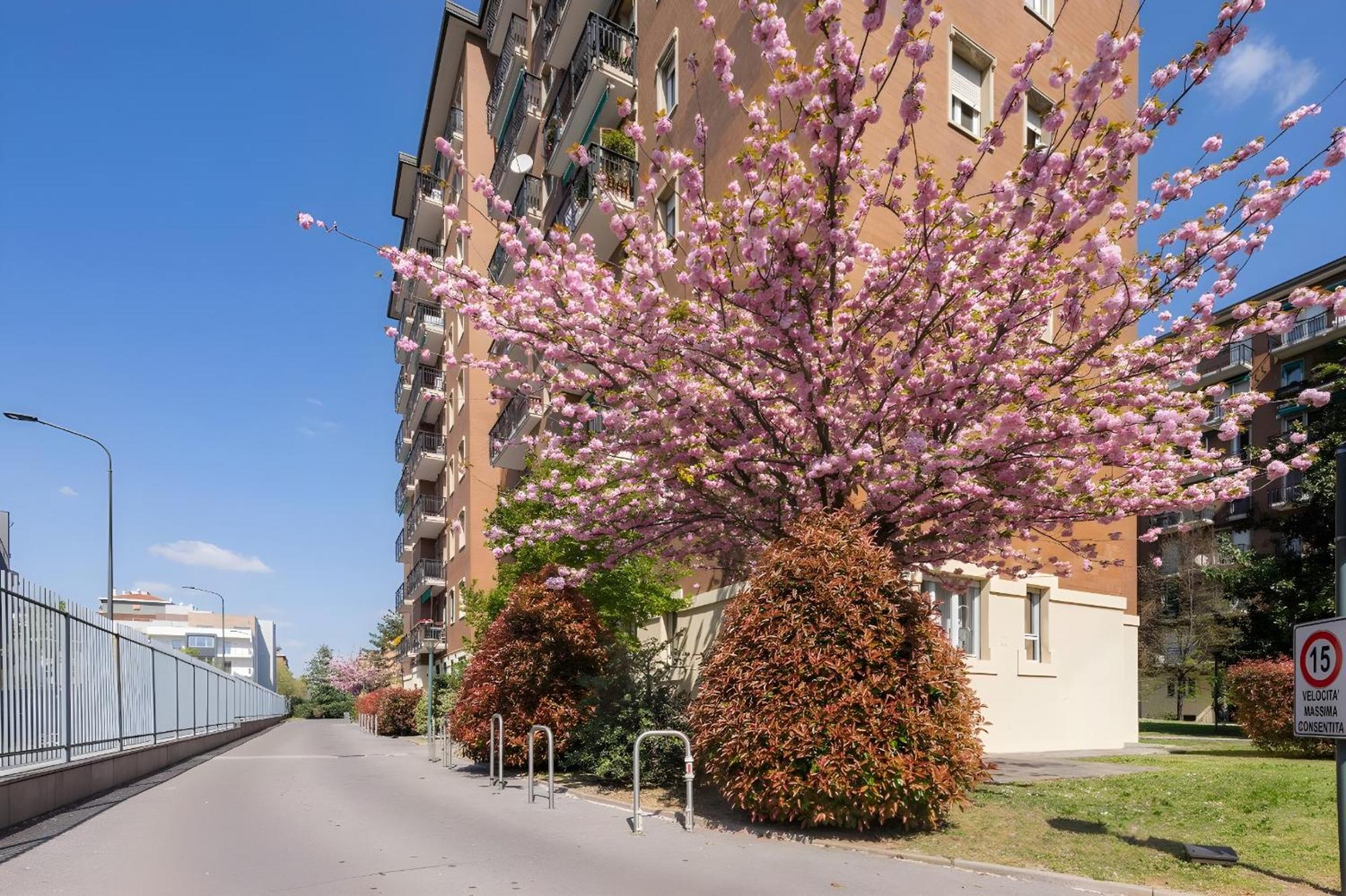 San Siro Arty And Cute Room - Homestay Con Bagno Privato Milano Eksteriør bilde